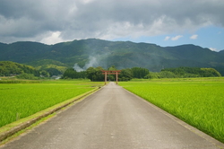 神社を探してます