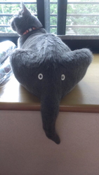 嫌われてますか?