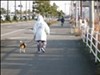 飼い主と2匹の犬