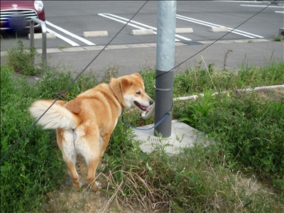 逆境を生きる