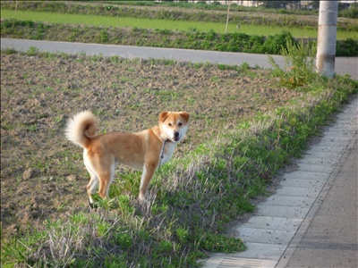 条件判断