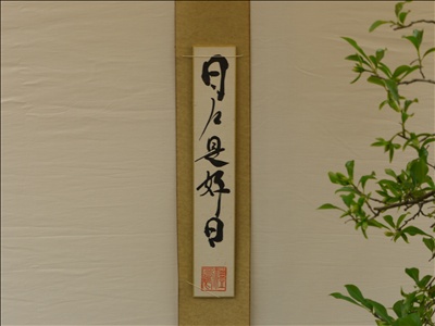 小さな花の運命