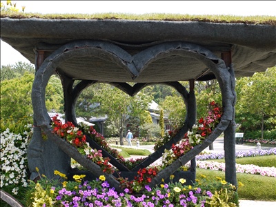 小さな花の運命