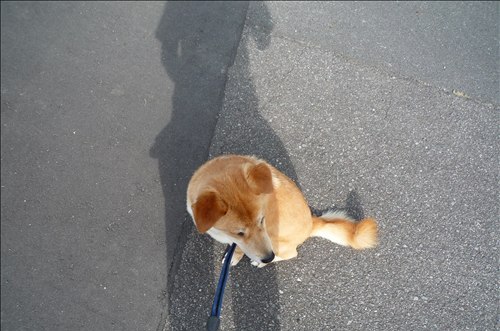 最後の・・・
