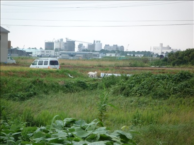 散歩