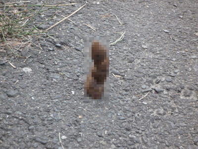 モノによっては