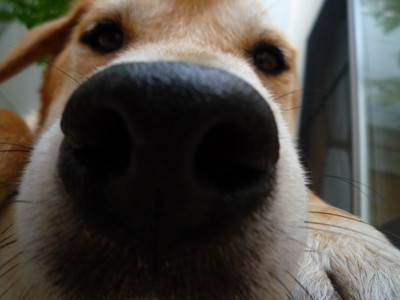 なんで?