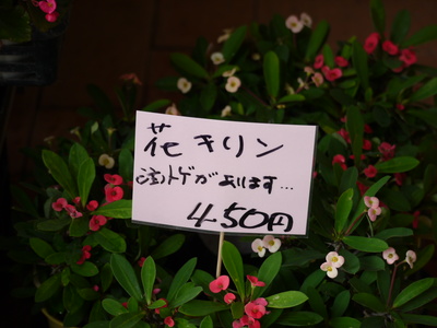 立ち物は転び物