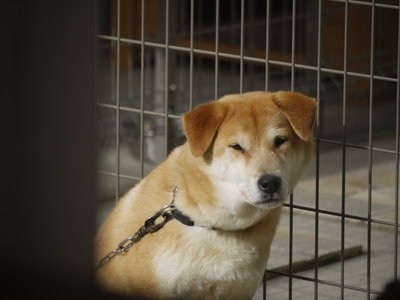 連休ネタ
