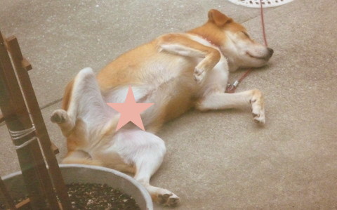 対照的な二人♪