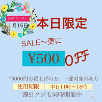 本日11時〜18時Open 2016/01/15 09:34:01