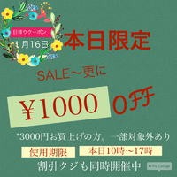 本日クーポン 2016/01/16 10:19:43