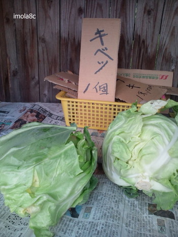 西都原古墳群へ行ってみた