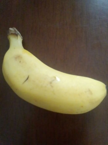 蜂は身近にいるものさ