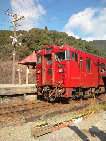 真の幸