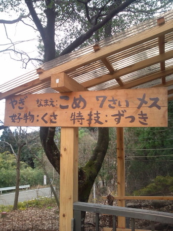 法華嶽 八町坂