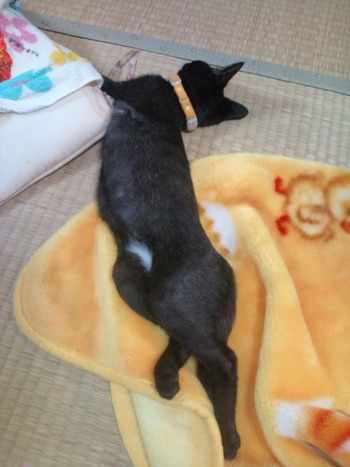 らっくの近況
