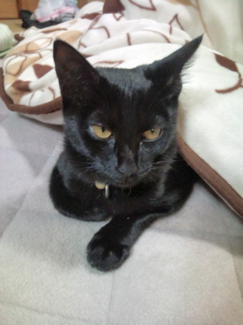 なんだよ