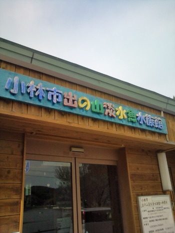 淡々と・・・