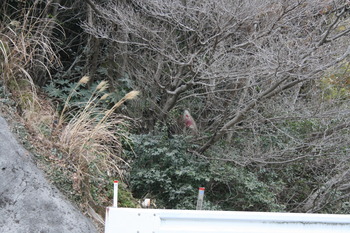 ほう・・・