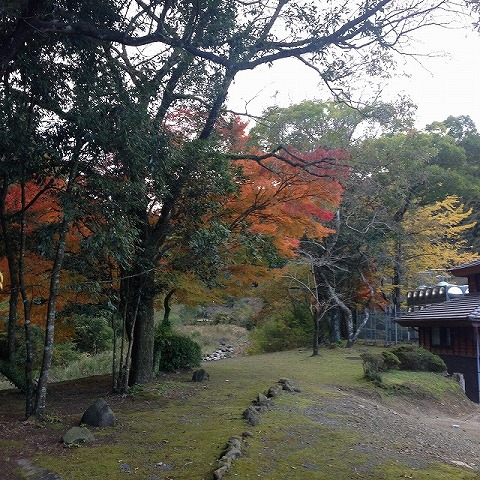 紅葉 at 青井岳温泉