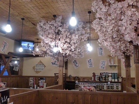 恵屋の桜