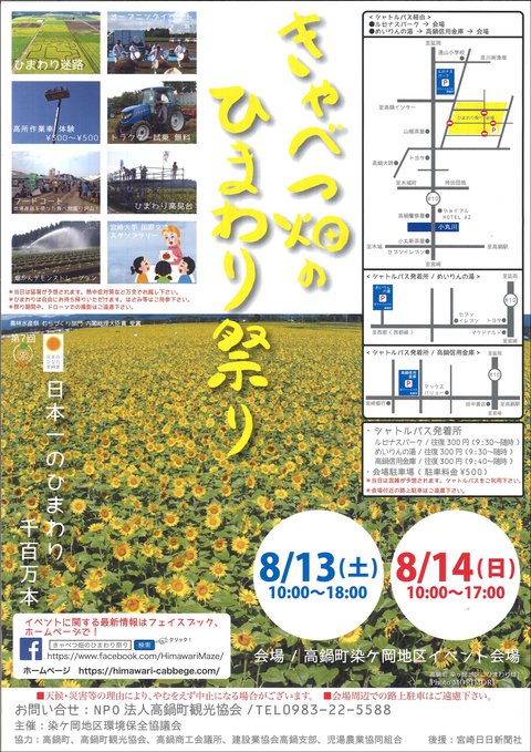 きゃべつ畑のひまわり祭り きゃべつ畑のひまわり祭り