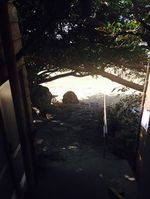 浜辺の茶屋 浜辺の茶屋