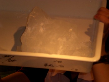 南極の氷
