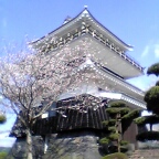 山之口あじさい公園