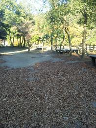関之尾滝 ~紅葉