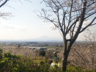 展望台から見える霧島