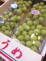 青梅