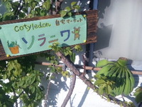 ソラニワ看板