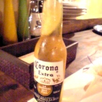 コロナビール