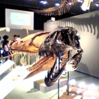 恐竜ワールド2009