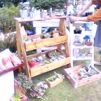 多肉植物屋コチレドン