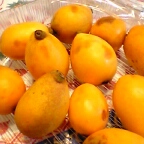 枇杷