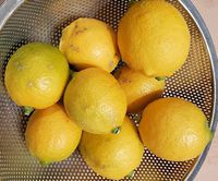 完熟レモン収穫